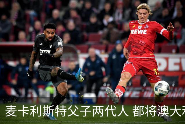 麦卡利斯特父子两代人 都将澳大利亚淘汰出局